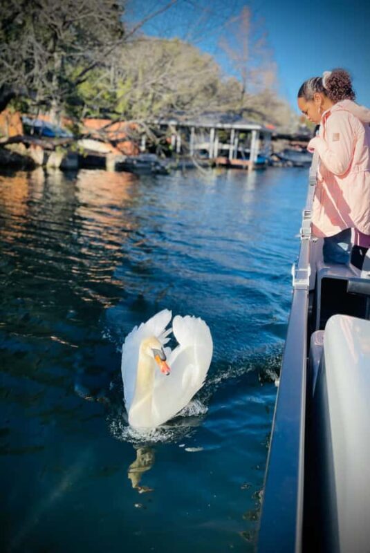 Austin: Lake Austin Private Boat Cruise - Full Sun Shading - Who Would Enjoy This Cruise?