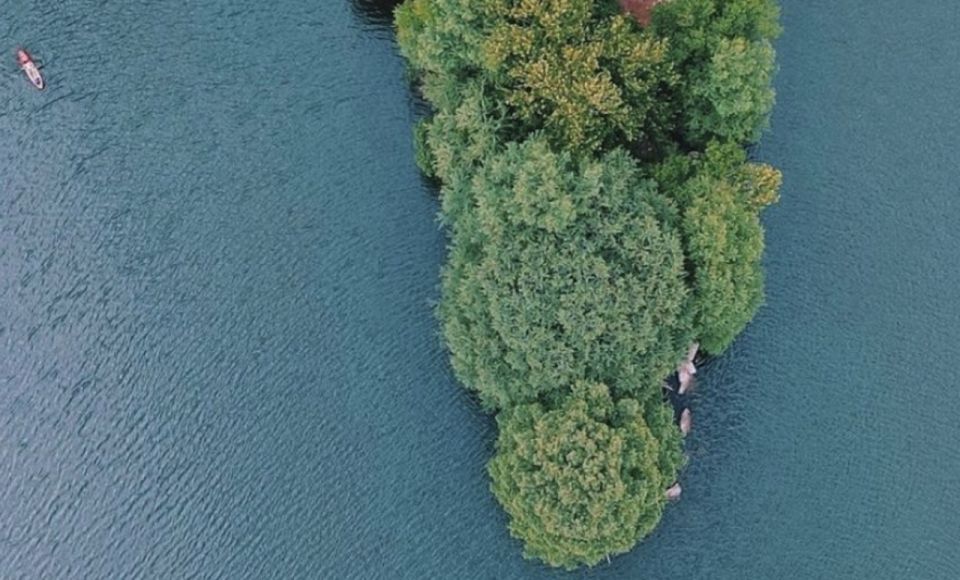 Austin: Round Red Bud Isle Kayaking Tour - Inclusions