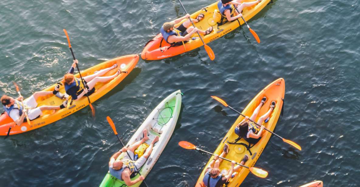 Austin: Single or Double Kayak Rental - Key Points