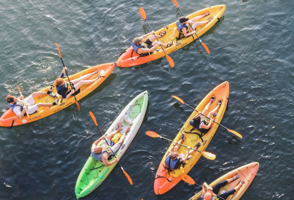 Austin: Single or Double Kayak Rental - Highlights of the Kayak Adventure