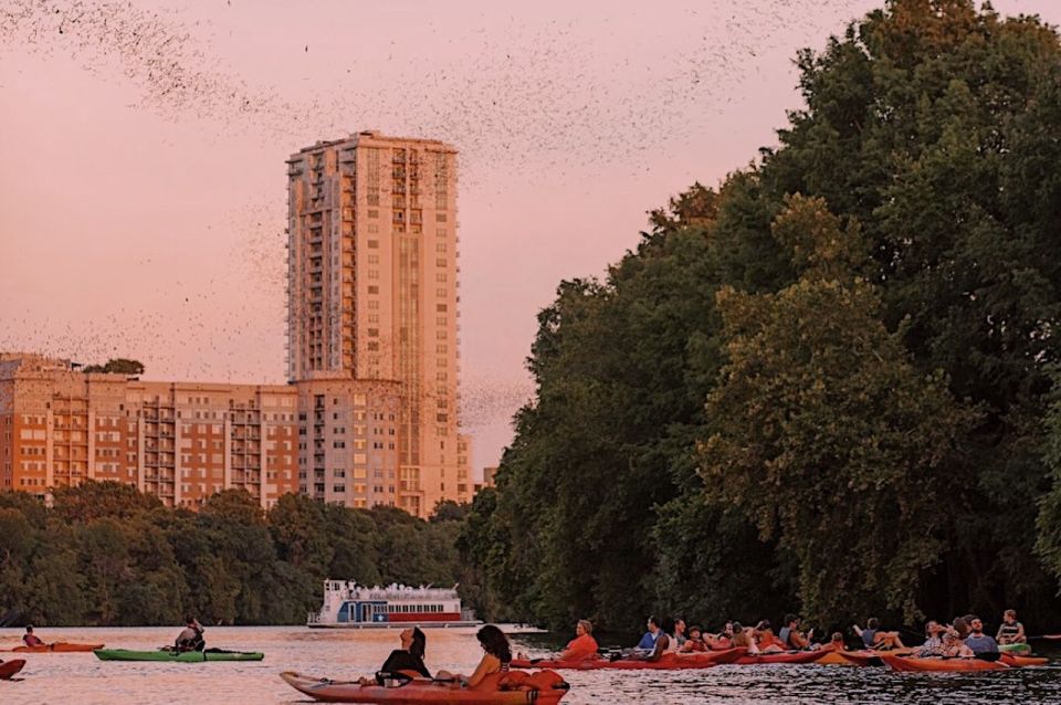 Austin: Sunset Bat Watching Kayak Tour - Highlights