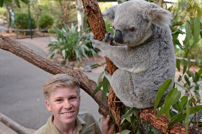 Australia Zoo Day Trip from Brisbane - The Value and Cost