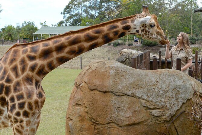 Australia Zoo Day Trip from Noosa /Sunshine Coast Region - Why This Tour Offers Great Value