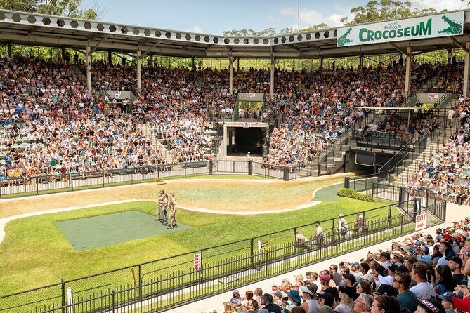 Australia Zoo Transfer from Noosa and Sunshine Coast - The Itinerary and What You Can Expect