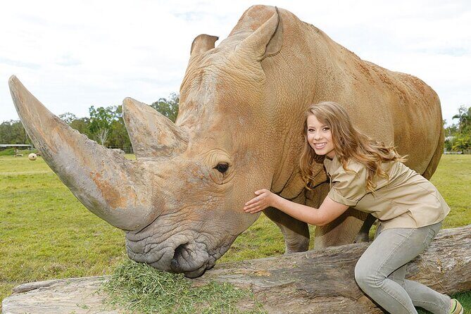 Australia Zoo Transfer from Noosa and Sunshine Coast - The Sum Up