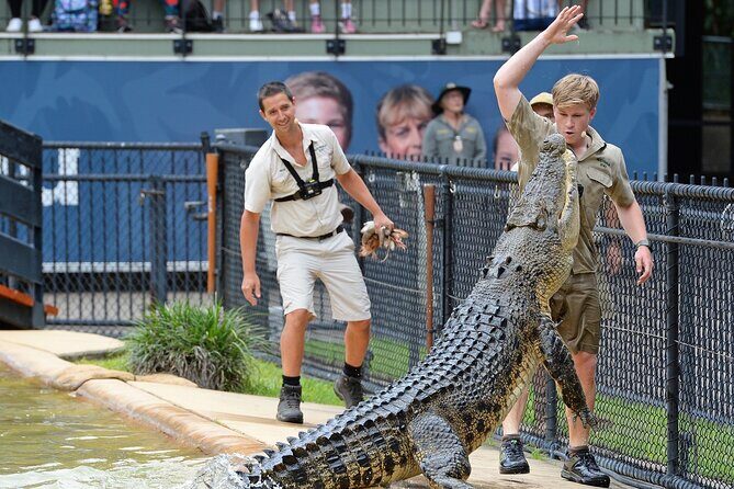 Australia Zoo Transfer from Noosa and Sunshine Coast - FAQs