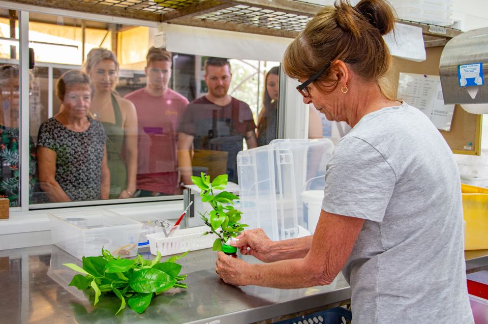 Australian Butterfly Sanctuary - Inclusions and Amenities