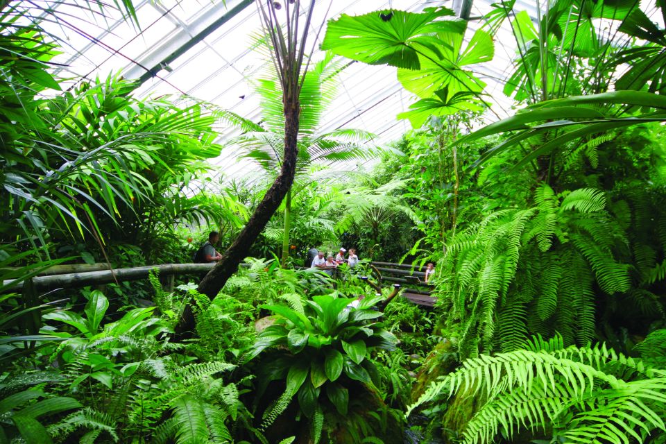 Australian Butterfly Sanctuary - Frequently Asked Questions