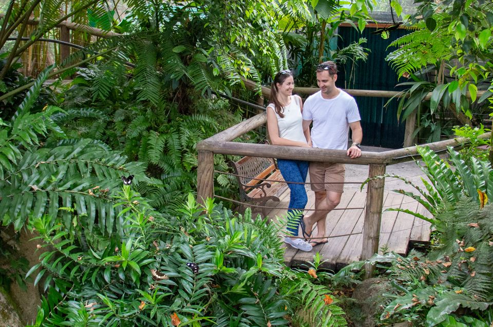 Australian Butterfly Sanctuary - Recap