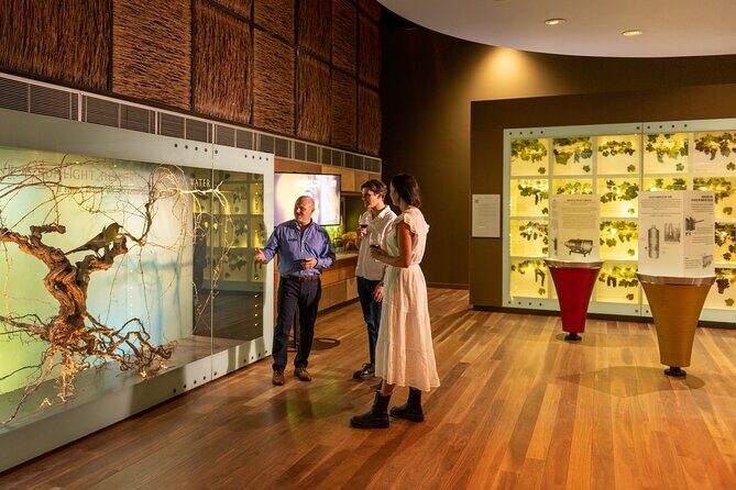 Australian Wine Discovery Tour Ticket - The Itinerary in Detail: What to Expect