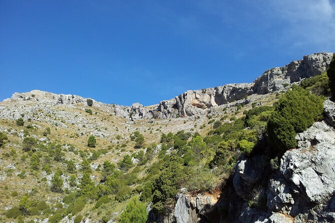 Authentic Andalusia - Jeep Eco Tour (Pick up From Marbella - Estepona) - Booking Information