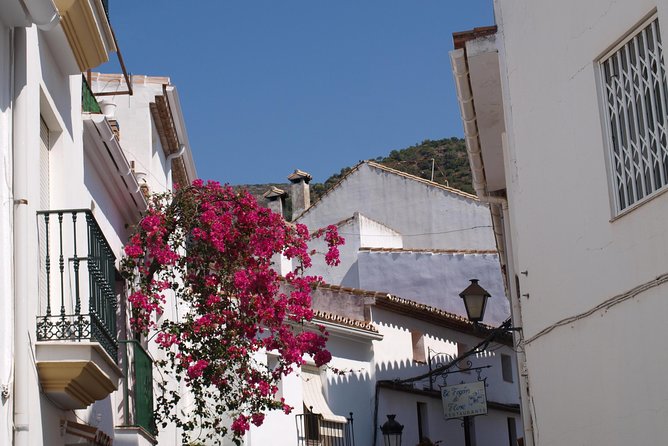 Authentic Andalusia - Jeep Eco Tour (Pick up From Marbella - Estepona) - Recap