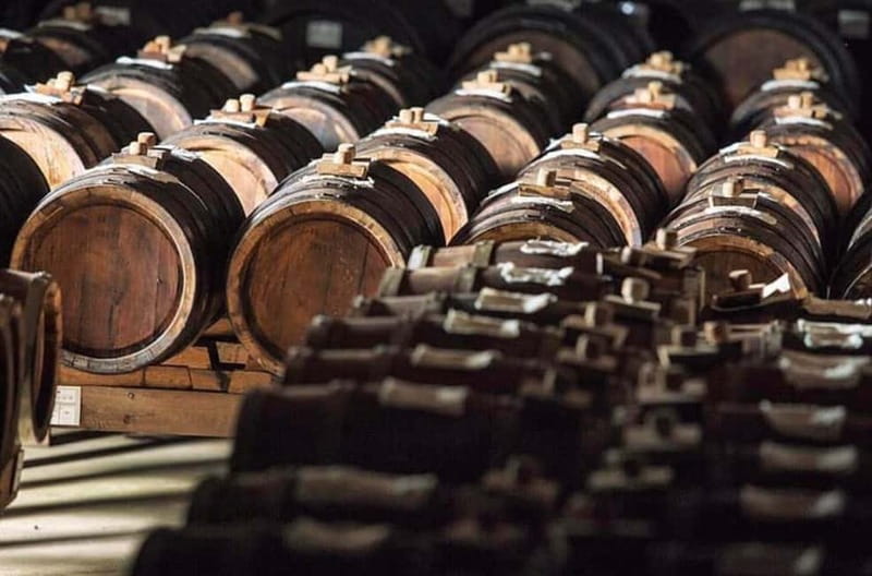 Authentic Balsamic Vinegar Tour & Tasting in Modena - Final words