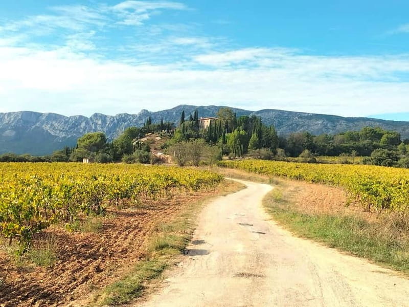 Authentic Countryside Wine Tour & Chic Aix-en-Provence - A Stroll Through Aix-en-Provence