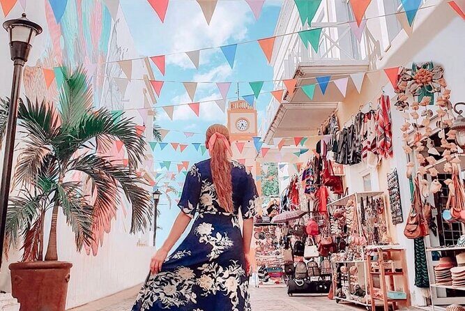 Authentic Cozumel Island Tour - Best Sights & Mayan Experience - Who Should Consider This Tour?