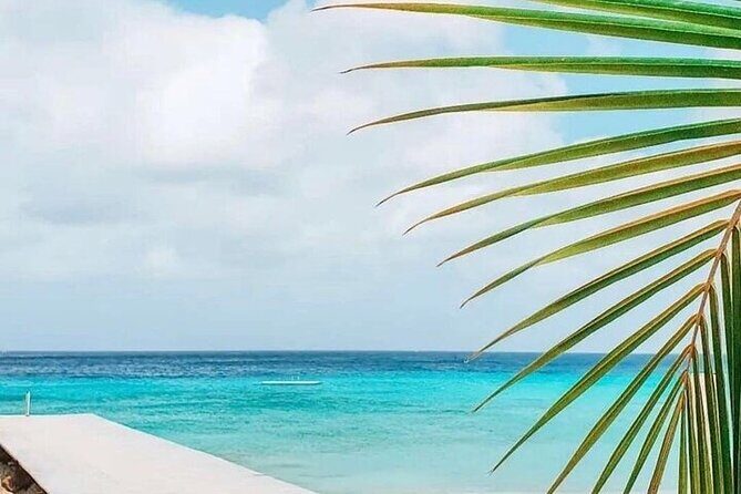 Authentic Curacao : Private Full island Tour - Who Should Book This Tour?