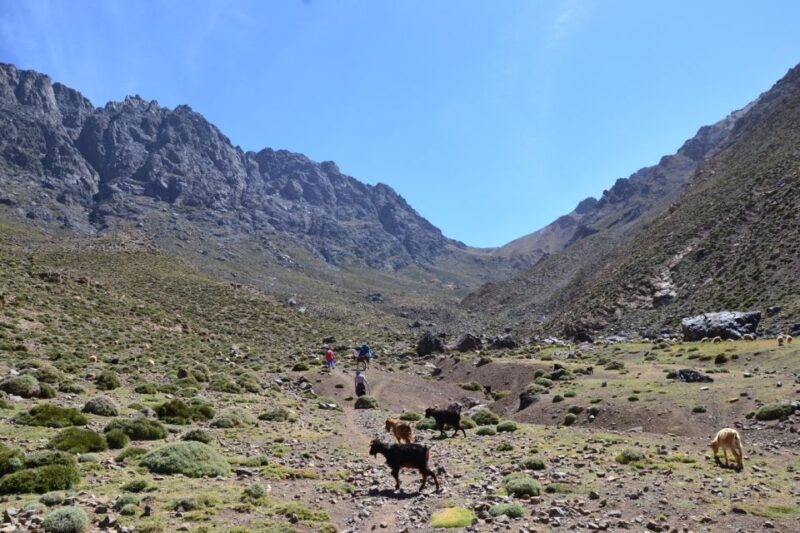 Authentic Day Walk in Atlas Mountains - Good To Know