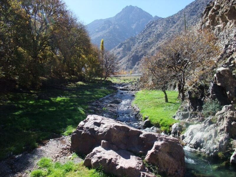 Authentic Day Walk in Atlas Mountains - Inclusions and Experience Highlights