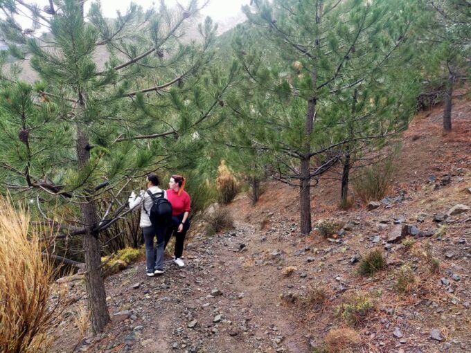 Authentic Day Walk in Atlas Mountains - Experiencing Berber Culture and Cuisine