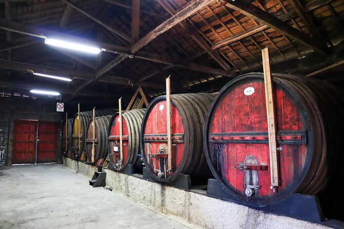 Authentic Douro Wine Tour Including Lunch and River Cruise - Small Group Experience