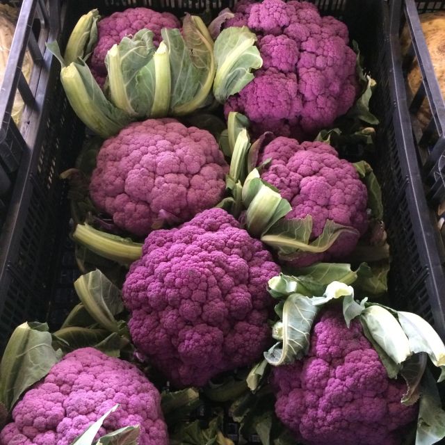 Authentic Florence: Sant'ambrogio Food Market Tour and Lunch - Exploring SantAmbrogio Market