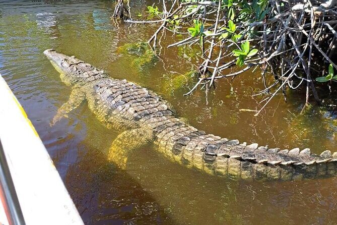 Authentic Guided Tour To The Pink Waters of Las Coloradas Yucatan - Final Thoughts
