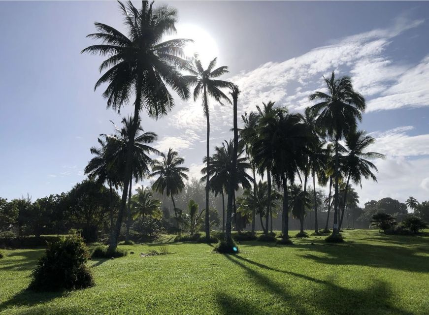 Authentic Hana Tour (Luxury SUV 7 Passenger) - Activity Description