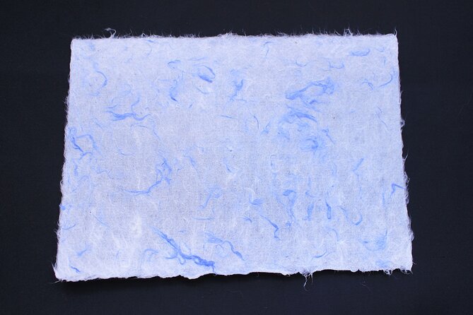 Authentic Handmade Washi Paper Making Workshop in Ueno - Workshop Overview