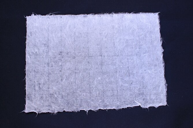 Authentic Handmade Washi Paper Making Workshop in Ueno - Washi Paper Making Process