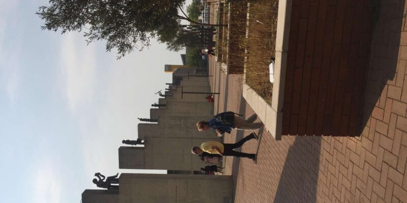 Authentic Joburg and Soweto Historical and Cultural Tours - Itinerary and Highlights