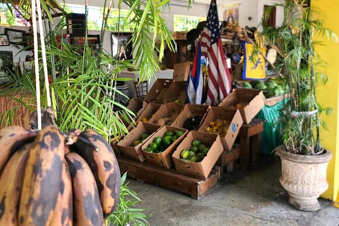 Authentic Little Havana Food and Culture Walking Tour - Logistics and Accessibility