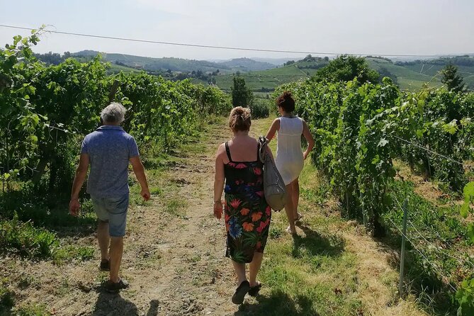 Authentic Piedmont Wine Tour With a Local Sommelier - Scenic Alpine Views and Cuisine
