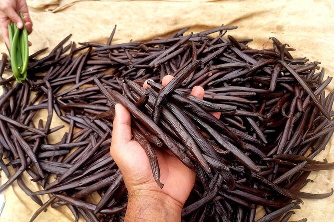 Authentic Polynesian Experience - FAQ