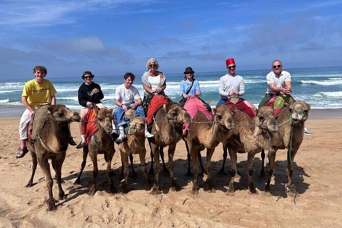 Authentic Private Tangier Tour from Cadiz Camel Ride & Lunch - The Itinerary: What to Expect