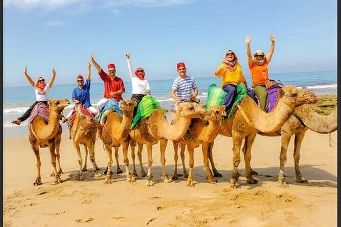 Authentic Private Tangier Tour from Cadiz Camel Ride & Lunch - What Past Travelers Say
