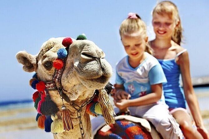 Authentic Private Tangier Tour from Cadiz Camel Ride & Lunch - Final Thoughts