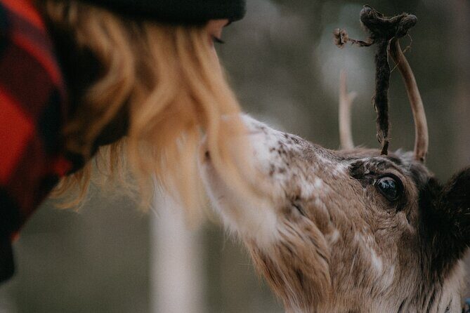 Authentic Reindeer Experience and Ice Fish with Lunch in the Wild - Final Thoughts