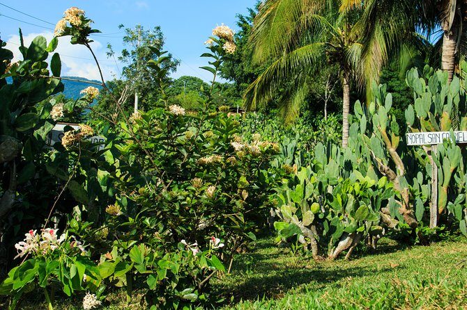 Authentic Rural Mexican Experience Adventure - Is This Tour Worth It?