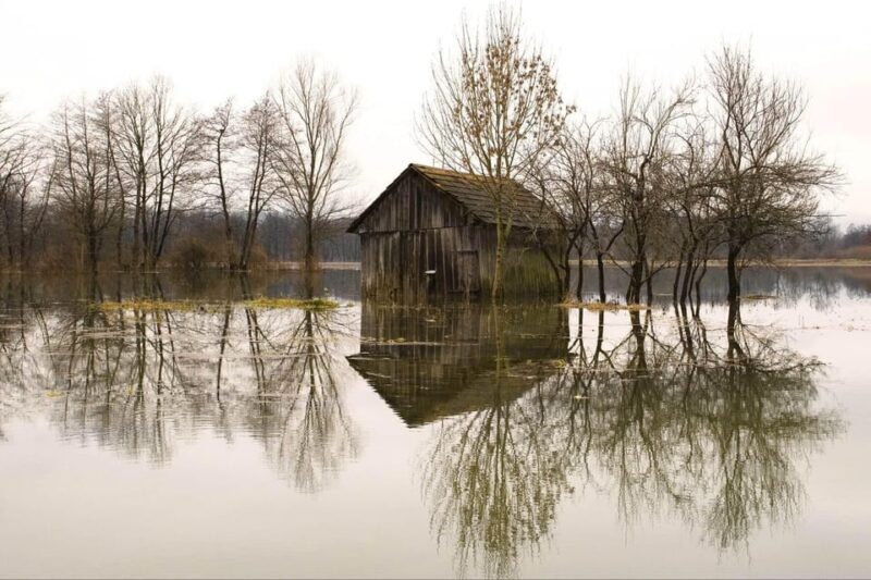 Authentic Slovenia: A Mystery Travel Day Tour - Authenticity and Reviews