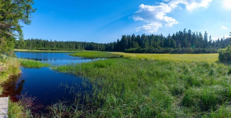 Authentic Slovenia: A Mystery Travel Day Tour - Who Should Book This Tour?