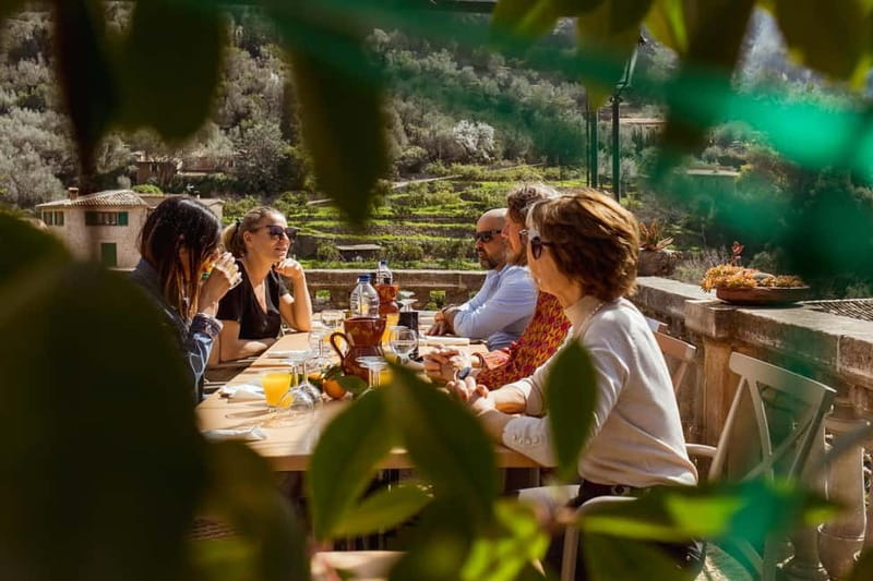 Authentic Vall de Sóller: Day Trip - An In-Depth Look at the Vall de Sóller Day Trip