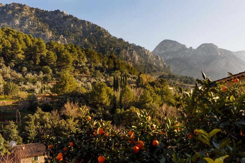 Authentic Vall de Sóller: Day Trip - Practical Details: What You Need to Know