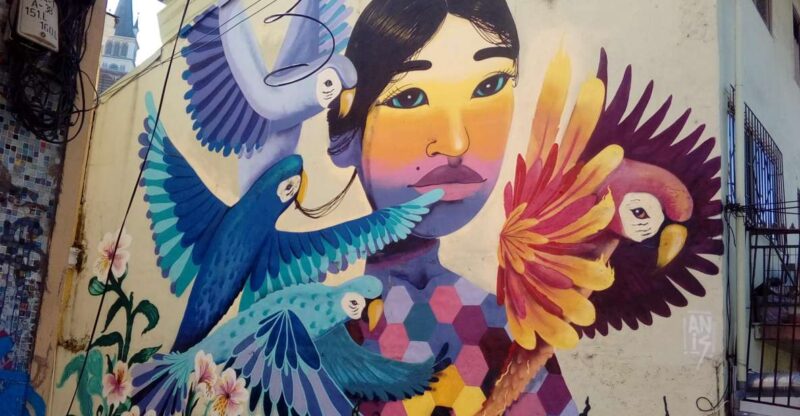 Authentic Valparaiso: Street Art, Funiculars and Port City - Key Itinerary Highlights