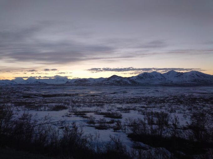 Authentical Denali Tour From Denali Park and Fairbanks - Frequently Asked Questions