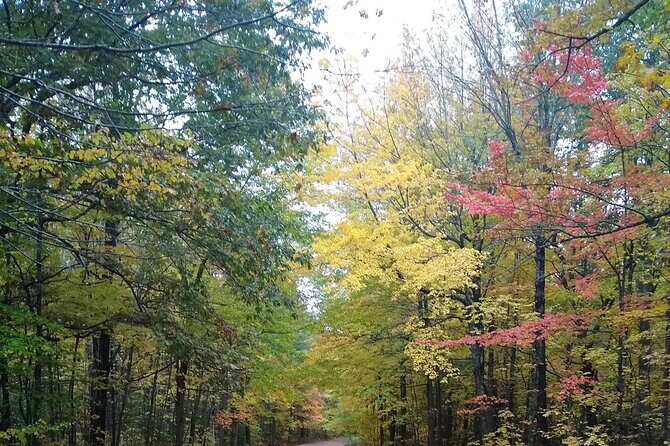 Autumn in Acadia National Park Private Leaf Peeper Driving Tour - Introduction