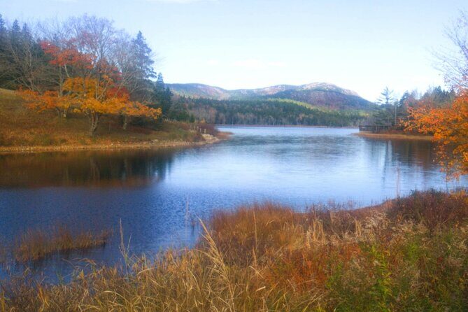 Autumn in Acadia National Park Private Leaf Peeper Driving Tour - Final Thoughts