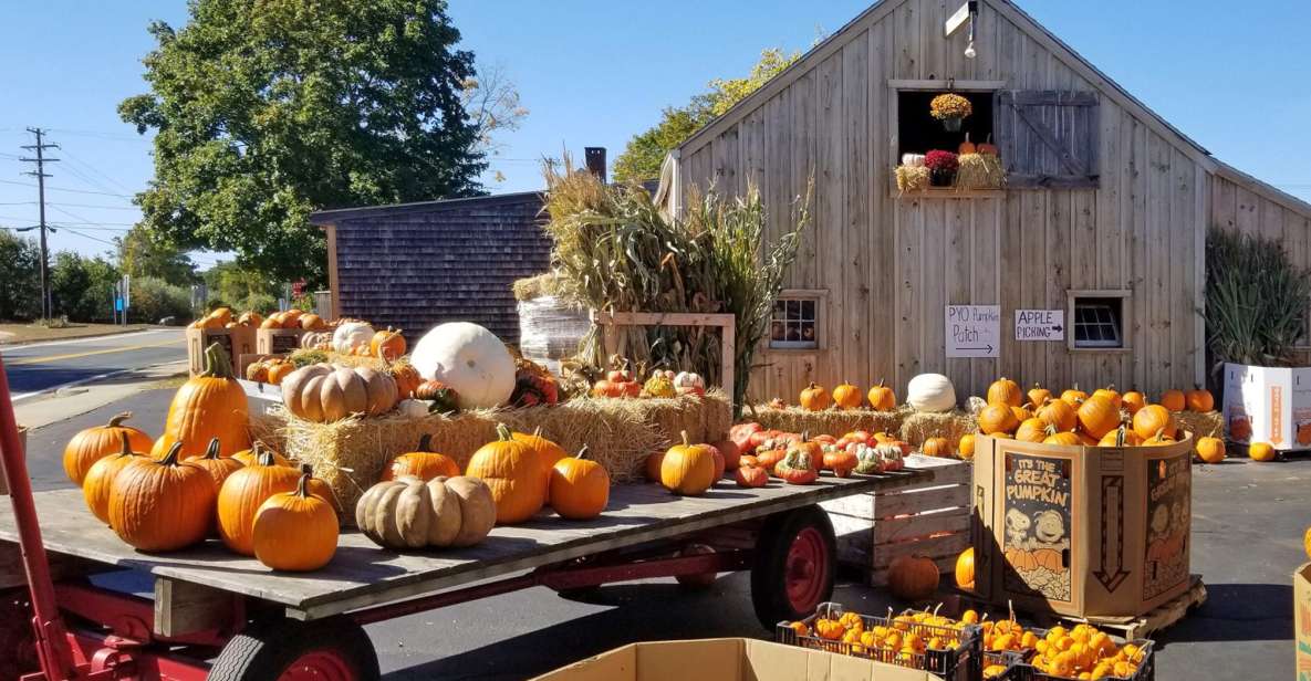 Autumn in New England - Rhode Island Forests