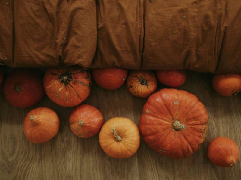 Autumn Menu - Pricing and Packages