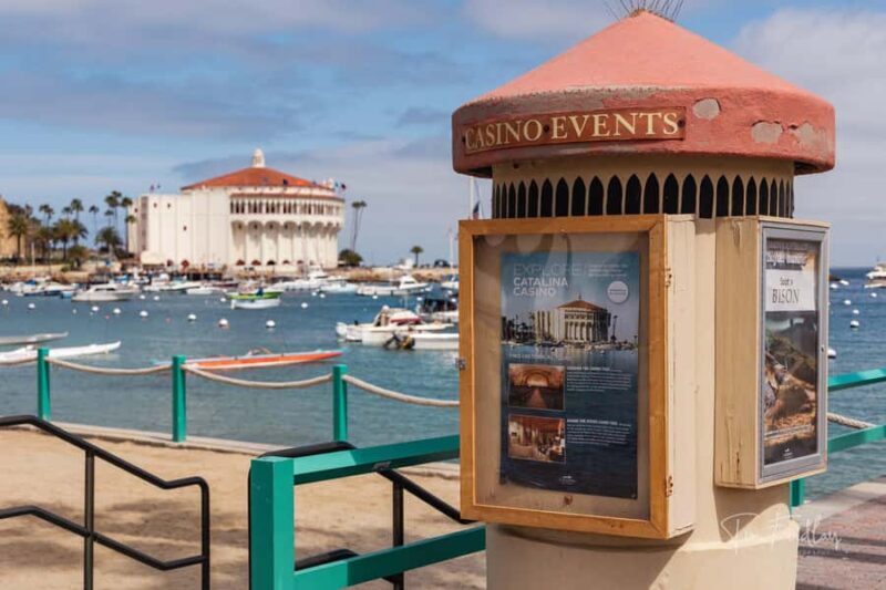 Avalon: Private Golf Cart Tour with Driver-Guide - Why This Tour is Worth Considering