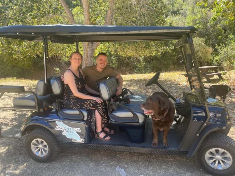 Avalon: Private Golf Cart Tour with Driver-Guide - Authentic Feedback from Travelers